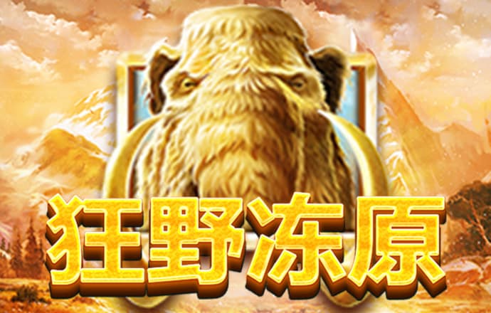 九州体育入口